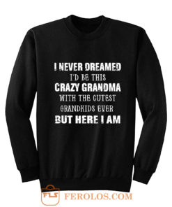 I Never Dreamed Id Be This Crazy Grandma with The Cutest Grandkids Ever But Here I Am Sweatshirt