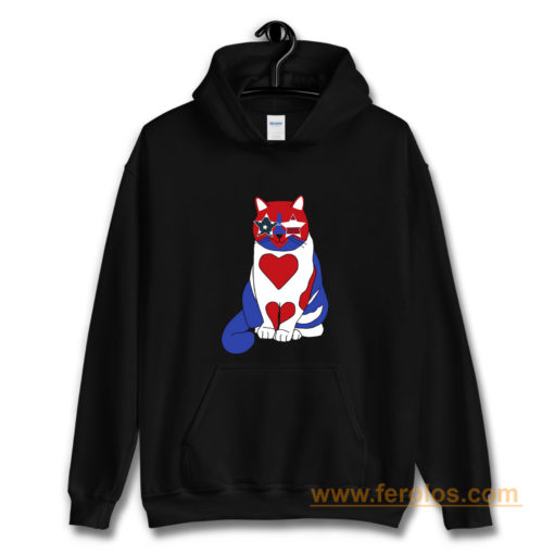 Funny Cat 4th of July American Flag Hoodie