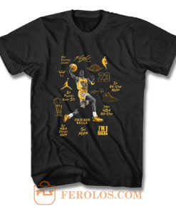 Michael Jordan Air Jordan 6 DMP Match T Shirt